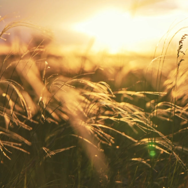 Fünf Minuten für dein Wohlbefinden